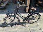 Cortina transport u4 dames fiets 56 frame, Ophalen, Versnellingen, Cortina, 53 tot 56 cm