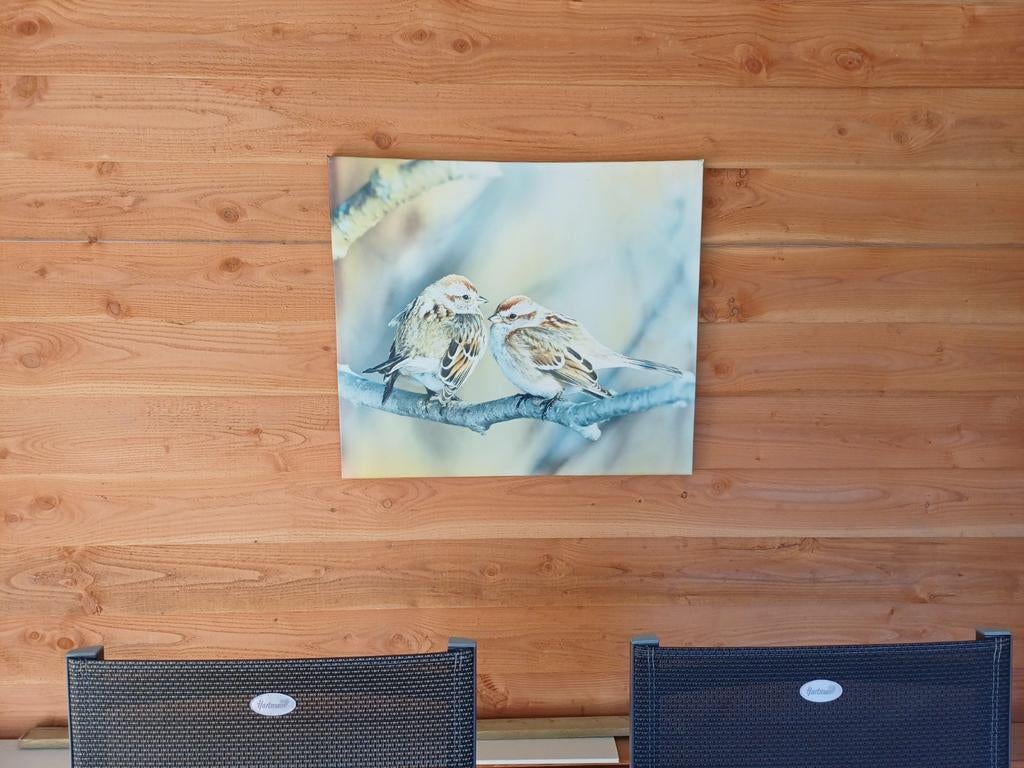Tuinschilderij van twee vogels, Minder dan 50 cm, Gebruikt, Oorspronkelijke maker, Ophalen of Verzenden