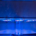 Zeeaquarium verlichting, Ophalen of Verzenden, Zo goed als nieuw, Verlichting of Verwarming