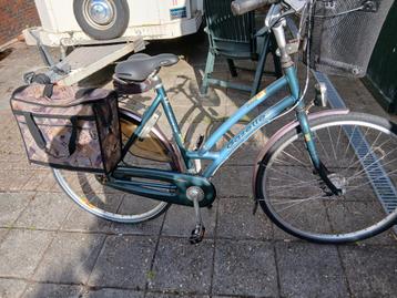 Gazelle davos. 7 speed. Mandje, zadeltas gelzadel.  beschikbaar voor biedingen