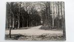 Ansichtkaart -HAVELTE, DE DRIESPRONG, Ophalen of Verzenden, 1940 tot 1960, Gelopen, Drenthe