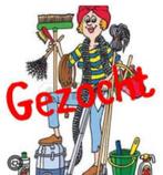 Schoonmaakster gezocht in Raamsdonksveer, Overige vormen, Overige uren, Vanaf 3 jaar, Overige niveaus