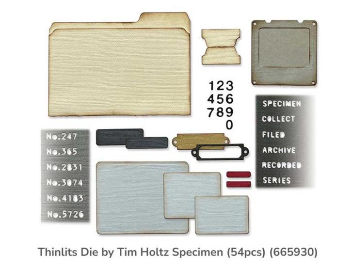 Sizzix Tim Holtz Thinlits Specimen #665930 *laatste, Hobby en Vrije tijd, Scrapbooking, Nieuw, Frame of Mal, Sizzix, Verzenden
