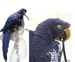 Lamp papegaai in diverse kleuren verkrijgbaar, Nieuw, Ophalen of Verzenden