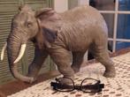 Geharo collection Grote olifant, Ophalen of Verzenden, Zo goed als nieuw, Dier