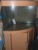 Kweek bakken met stelling plus hoek bak  juwel, Vis