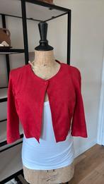 Marccain imitatie suede rood kort jasje N2 zgan stretch, Ophalen of Verzenden, Zo goed als nieuw, Rood