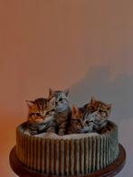 Britse korthaar kittens, Dieren en Toebehoren, Katten en Kittens | Raskatten | Korthaar, Meerdere dieren, Gechipt, 0 tot 2 jaar