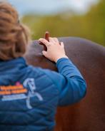 Therapie en revalidatie begeleiding voor paarden, Ophalen, Nieuw, Overige soorten