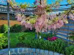 Tuinman Gezocht/ Beschikbaar!, Tuin en Terras, Overige Tuin en Terras, Ophalen, Nieuw