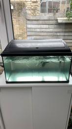 Aquarium, Dieren en Toebehoren, Vissen | Aquaria en Toebehoren, Ophalen of Verzenden, Leeg aquarium