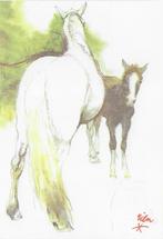 Ongelopen Ansichtkaart Rien Poortvliet 2 paarden (B3993 ), Ophalen of Verzenden, 1980 tot heden, Ongelopen