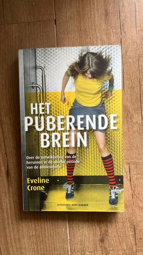 Eveline Crone - Het puberende brein, Boeken, Psychologie, Zo goed als nieuw, Ontwikkelingspsychologie, Ophalen of Verzenden