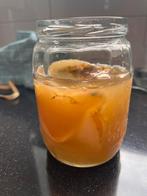 Gratis kombucha scooby, Ophalen