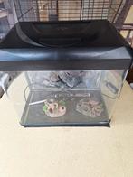 Net Aquarium HS aqua Lago, Dieren en Toebehoren, Ophalen