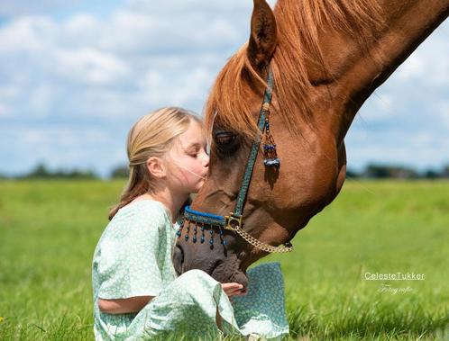 Fotoshoot paard, Dieren en Toebehoren, Paarden en Pony's | Overige Paardenspullen, Zo goed als nieuw, Overige soorten, Ophalen