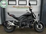 BENELLI 502 C Cruiser ABS A2 VOORJAARSACTIE DEMO (bj 2025), 499 cc, 4 cilinders, Bedrijf, 12 t/m 35 kW