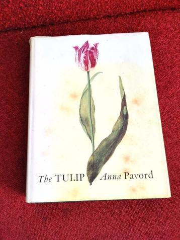 The Tulip The Story of a Flower 9781582340135 Anna Pavord beschikbaar voor biedingen