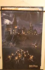 Harry Potter Posters, 2 Stuks, Gebruikt, Ophalen