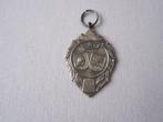 medaille schaatsen IJsselmeer, Postzegels en Munten, Ophalen of Verzenden, Overige materialen, Nederland