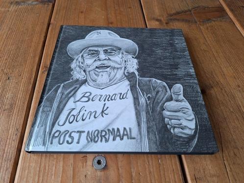 Bennie Bernard Jolink . Post Normaal - 9789070024963, Boeken, Muziek, Nieuw, Artiest, Ophalen of Verzenden