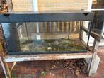 200 liter aquarium, Dieren en Toebehoren, Ophalen of Verzenden, Zo goed als nieuw, Leeg aquarium