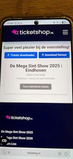 De Mega Sint Show eindhoven, Tickets en Kaartjes, Eén persoon
