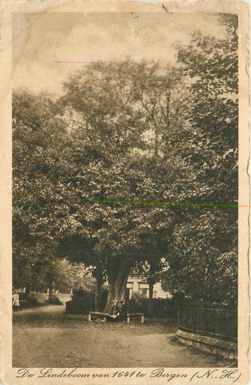 (701-332-027) Bergen NH De Lindeboom, Verzamelen, Ansichtkaarten | Nederland, Noord-Holland, Verzenden