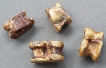 17-18 de eeuw Bodemvondst Bikkel Bikkels Bikkelspel Spellen beschikbaar voor biedingen