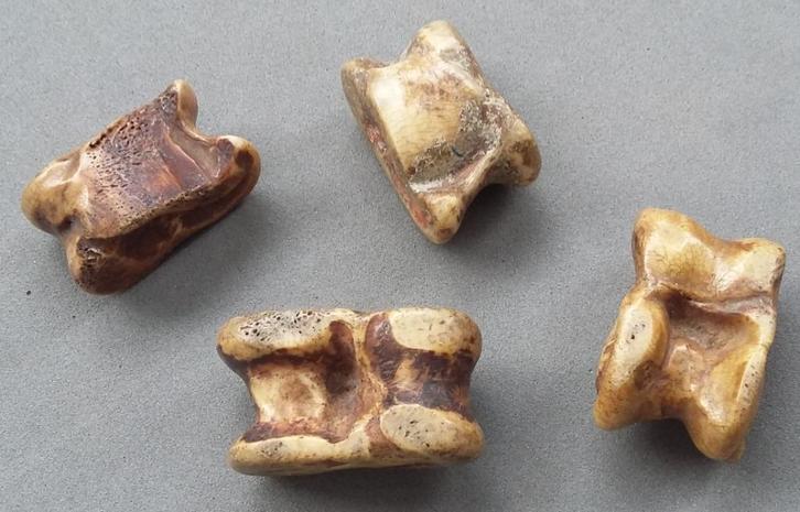 17-18 de eeuw Bodemvondst Bikkel Bikkels Bikkelspel Spellen, Antiek en Kunst, Curiosa en Brocante, Ophalen of Verzenden