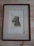 Airedaleterriër portret door Frans Jacob IJserinkhuijsen, Antiek en Kunst, Ophalen of Verzenden