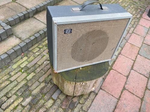 Dynacord Twen buizenversterker, Muziek en Instrumenten, Versterkers | Bas en Gitaar, Gebruikt, Minder dan 50 watt, Verzenden
