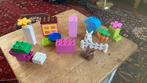 DUPLO set 4623 - konijntjes / hello kitty, Ophalen of Verzenden, Zo goed als nieuw, Duplo