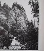 Theo Coenraad - Mensen gezocht, Ophalen of Verzenden, Gelezen, Theo Coenraad