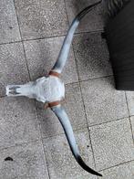 Skull, Ophalen, Nieuw