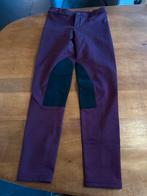 Paardrijbroek maat xs, Ophalen of Verzenden, Zo goed als nieuw, Bovenkleding