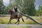 Waanzinnig gave PRE merrie, alleskunner met top karakter, Dieren en Toebehoren, Paarden, Merrie, Minder dan 160 cm, L, Gechipt