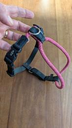 Hondentuigje High5Dogs, Dieren en Toebehoren, Ophalen, Nieuw