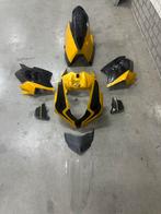 carbon kuipset ducati panigale v4 r / s, Ophalen of Verzenden