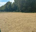 Gezocht perceel grasland weiland gras weidegrond, Dieren en Toebehoren, Stalling en Weidegang