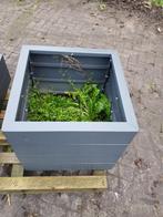 Aluminium bloembak met bodem 60x60x60 cm antraciet, Tuin en Terras, Bloembakken en Plantenbakken, Ophalen, Rechthoekig