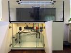 Aquaja rimless aquarium van 1.50 x 55 x 55, Ophalen, Gebruikt, Leeg aquarium