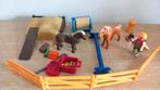 Playmobil bewaarbox met pony's en verzorgspullen, Ophalen of Verzenden, Zo goed als nieuw