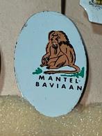 Mantelbaviaan Speldje, Verzamelen, Speldjes, Pins en Buttons, Ophalen of Verzenden, Gebruikt, Dier of Natuur, Speldje of Pin