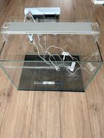 Aquarium (Superfish 60L), Dieren en Toebehoren, Vissen | Aquaria en Toebehoren, Ophalen, Zo goed als nieuw, Leeg aquarium