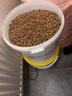Royal Canin indoor kattenbrokken, Dieren en Toebehoren, Ophalen of Verzenden, Kat