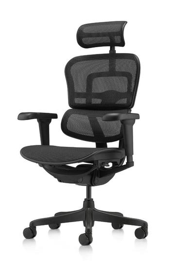 NIEUW ERGOHUMAN Ergonomische Bureaustoel Ultra Black ! beschikbaar voor biedingen