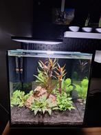 Aquarium, Dieren en Toebehoren, Vissen | Aquaria en Toebehoren, Ophalen of Verzenden, Zo goed als nieuw, Leeg aquarium