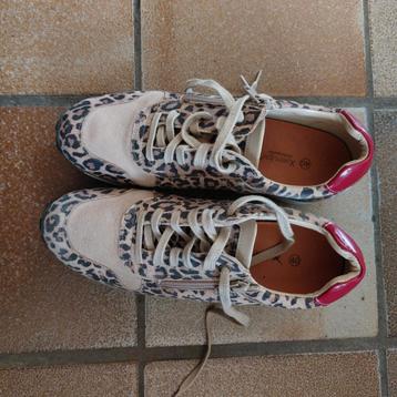 Schoenen van het merk Xsensible.  Maat 40 beschikbaar voor biedingen