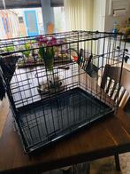 Hondenbench voor kleine hond zoals Malthezer etc., Ophalen, Zo goed als nieuw, Minder dan 75 cm, Minder dan 65 cm